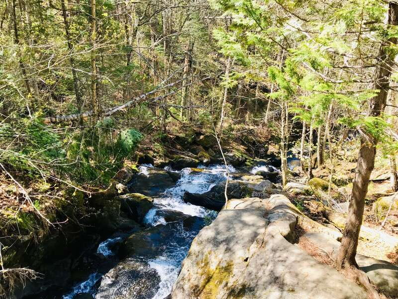 Quebec City: Guided Hike in Jacques-Cartier National Park - Book It or Skip It? My Honest Take