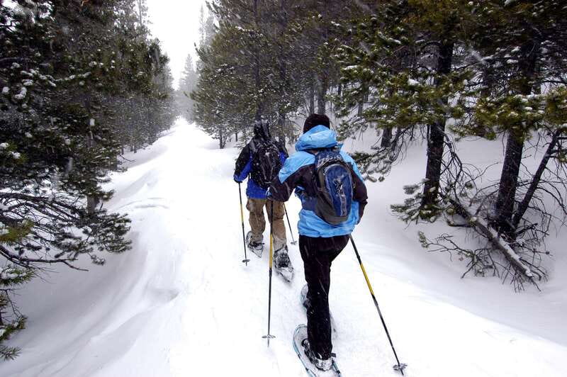 Quebec City: Jacques-Cartier National Park Snowshoeing Tour - Jacques-Cartier National Park in Winter: Why Snowshoeing Fits Here