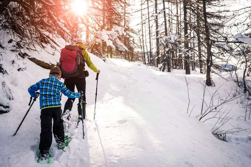 Quebec City: Jacques-Cartier National Park Snowshoeing Tour - Price and What You Really Get at $108