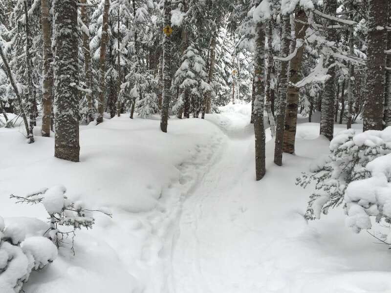 Quebec City: Jacques-Cartier National Park Snowshoeing Tour - Stops That Matter: Belleau Creek, Laurentian Views, and the Sautauriski River