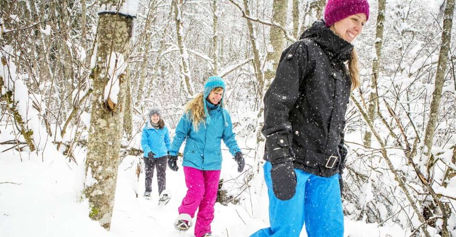 Quebec City: Jacques-Cartier National Park Snowshoeing Tour - Lunch in a Heated Tent and the After-Hike Free Time