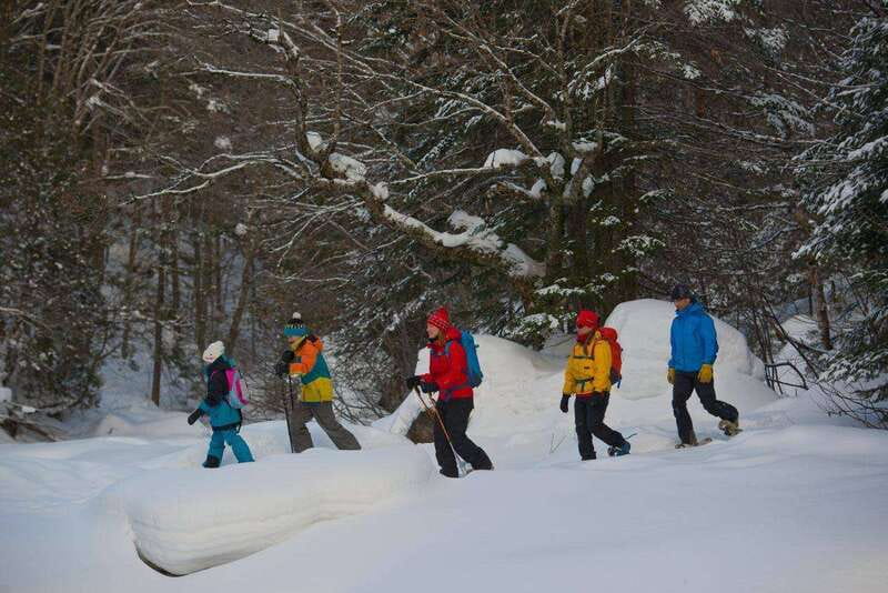 Quebec City: Jacques-Cartier National Park Snowshoeing Tour - Should You Book This Snowshoe Tour?