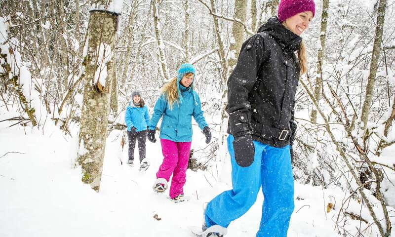 Quebec City: Jacques-Cartier National Park Snowshoeing Tour - Getting From Quebec City: Pickup, Ride, and Arrival Timing