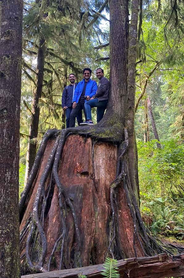 Rainforest and Olympic National Park Highlights - Key takeaways