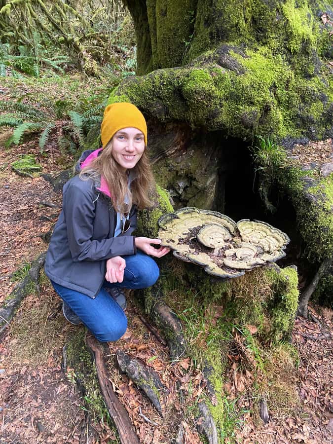 Rainforest and Olympic National Park Highlights - Hoh Rainforest and Hall of Mosses: The Iconic Moment
