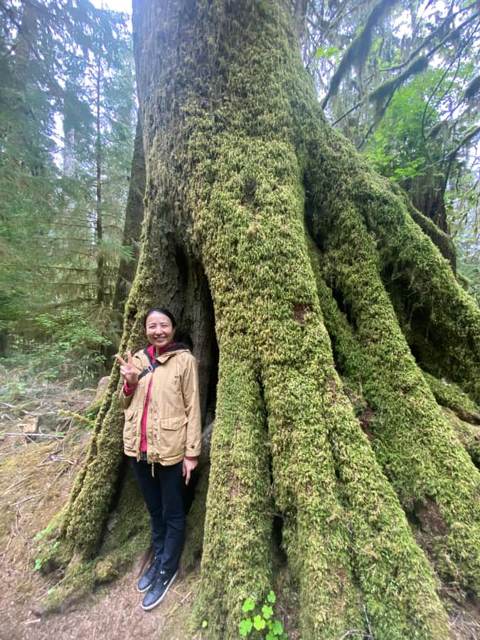 Rainforest and Olympic National Park Highlights - Lake Crescent Viewpoint and Lodge Stops: A Deep Breath for the Day