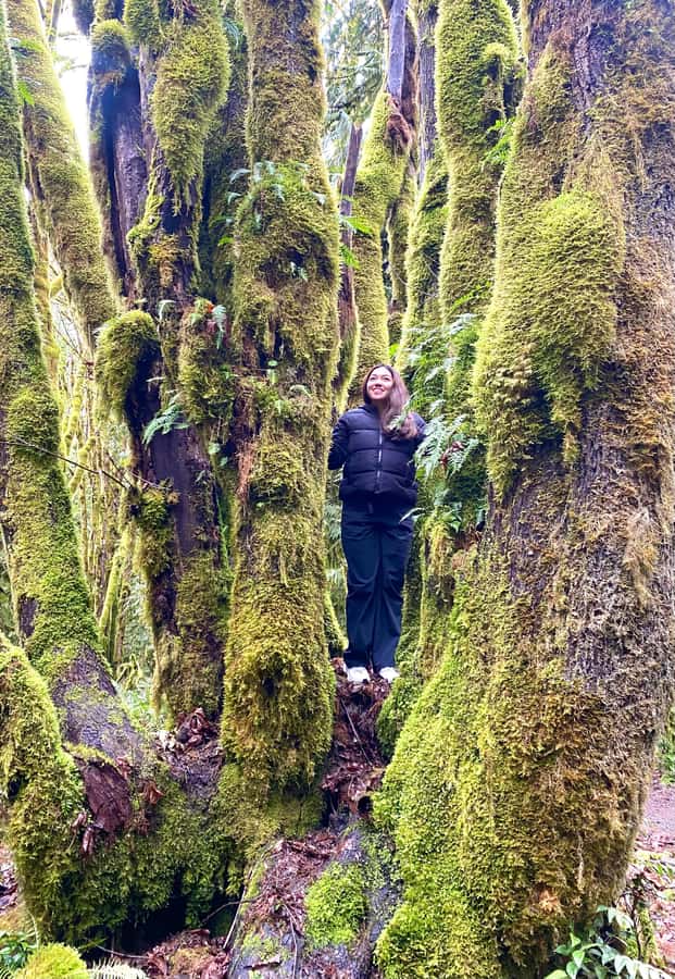 Rainforest and Olympic National Park Highlights - Timing Reality: A Full Day of Wonder (Not a Slow Weekend)