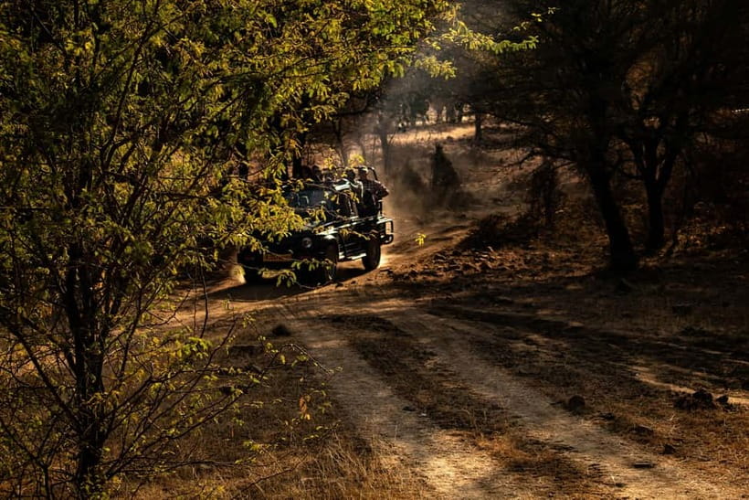 Ranthambore National Park: Safari Ticket with Pickup Option - Who this safari fits (and who should skip it)
