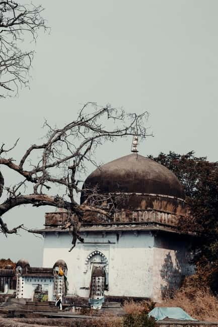 Ranthambore National Park: Safari Ticket with Pickup Option - More than tigers: what you’ll likely spot in Ranthambore