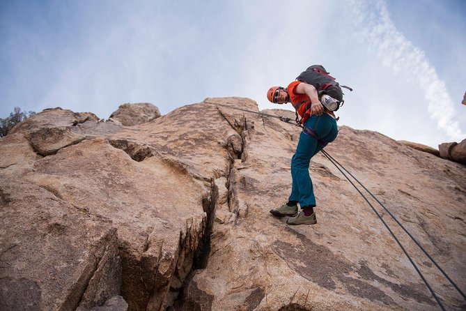 Rappelling Adventure in Joshua Tree National Park (4 Hours) - Families, Mixed Ages, and First-Timers