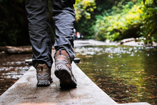Redwood National Park Self-Guided Audio Tour - Myrtle Beach swimming hole: quarter-mile descent with pit toilets