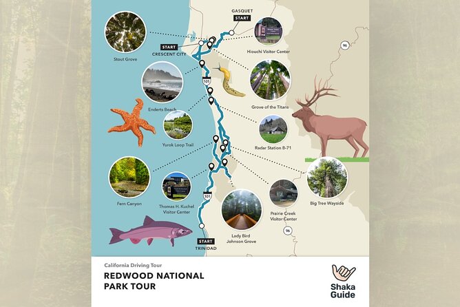 Redwood National Park Self-Guided Audio Tour - Crescent City beaches: Crescent Beach and the overlook for whales at dusk