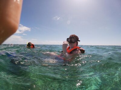 Reef Snorkel In National Park In Puerto Morelos With Lunch And Transportation - Price and logistics: what $44.25 really becomes