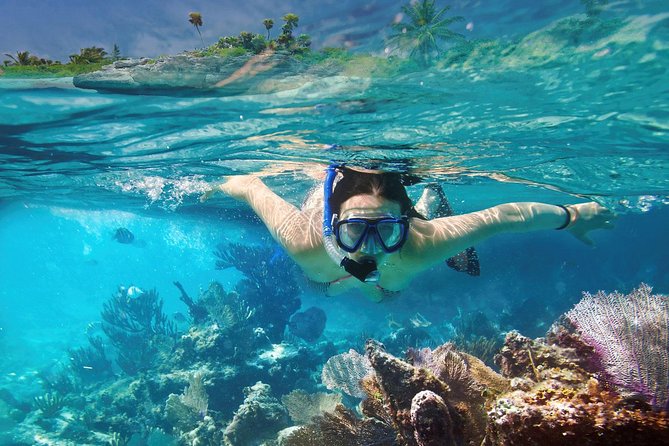 Reef Snorkel In National Park In Puerto Morelos With Lunch And Transportation - Stop 2: Mercado-style stroll, beach club tacos, and the tequila segment