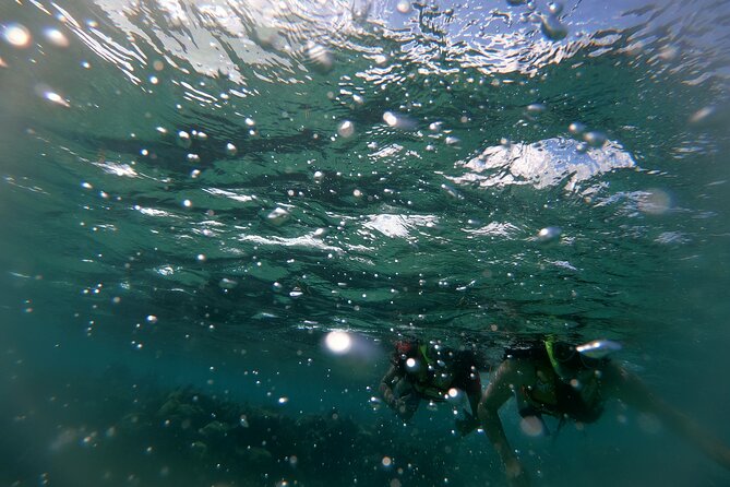 Reef Snorkel In National Park In Puerto Morelos With Lunch And Transportation - What I’d call the real value here