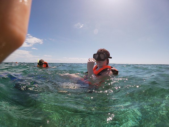 Reef Snorkel In National Park In Puerto Morelos With Lunch And Transportation - Price and logistics: what $44.25 really becomes