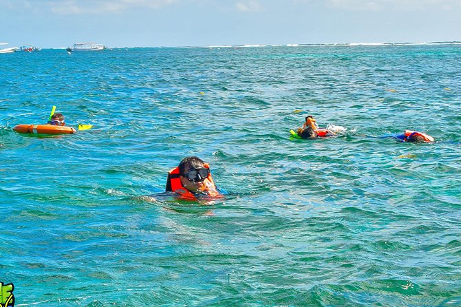 Reef Snorkeling in National Park from Cancun with Beachside Lunch - Is It Good Value at $44? Here’s the Real Math