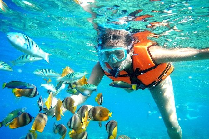 Reef Snorkeling in National Park from Cancun with Beachside Lunch - Cancun to Puerto Morelos: Pickup, Time, and That Reality Check