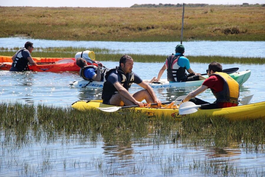 Ria Formosa National Park: Kayak Trip - Why the Ria Formosa Kayak Trip Works So Well