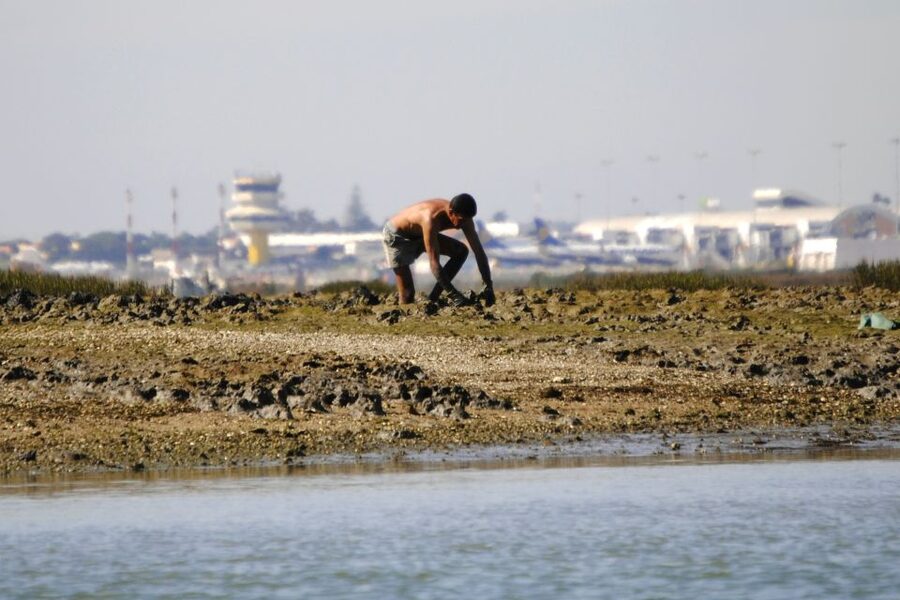 Ria Formosa National Park: Kayak Trip - Clam Farms and Working Waterways