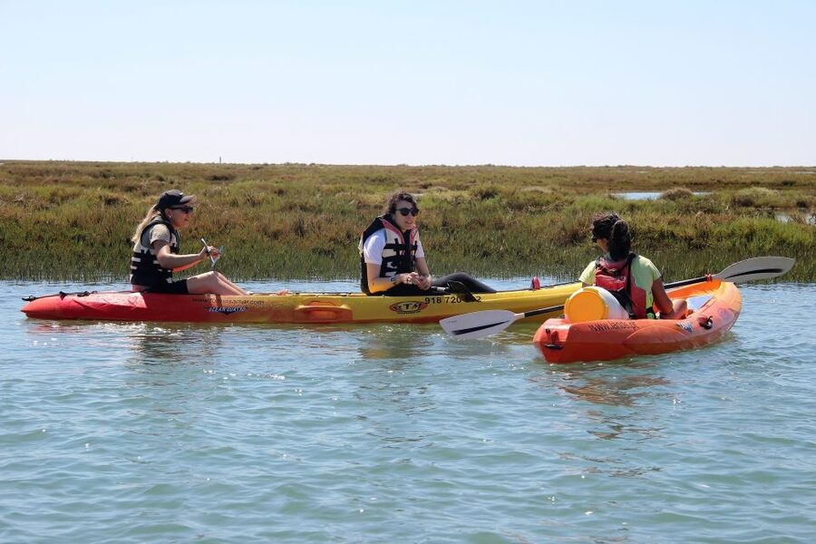 Ria Formosa National Park: Kayak Trip - Where You Meet in Faro: Boat Tours Store at the Nautical Club