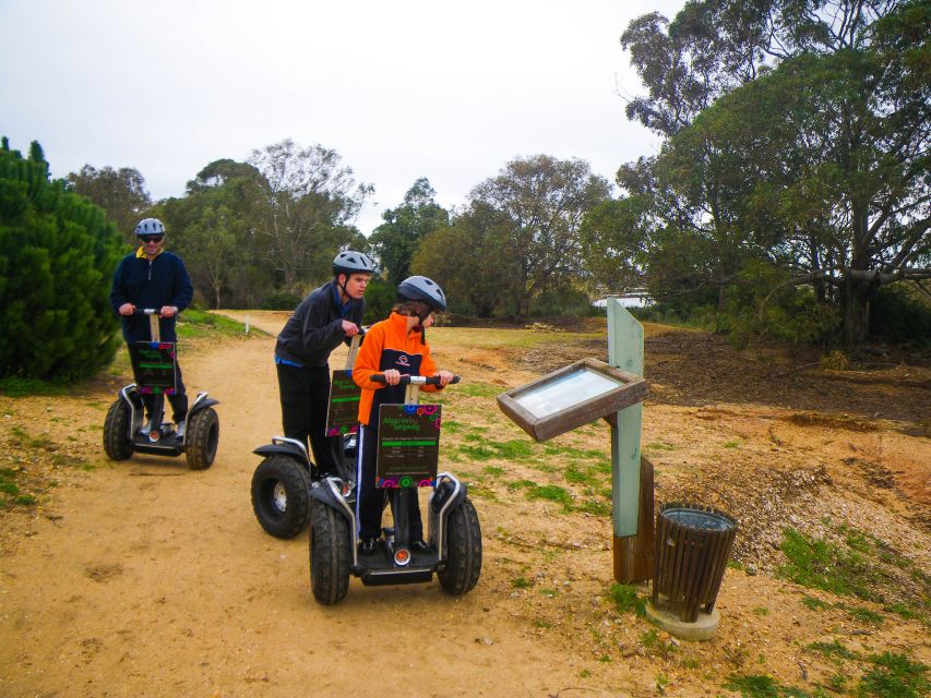 Ria Formosa National Park Segway Tour & Seafood Lunch - A 3-Hour Plan That Feels Like Two Trips in One