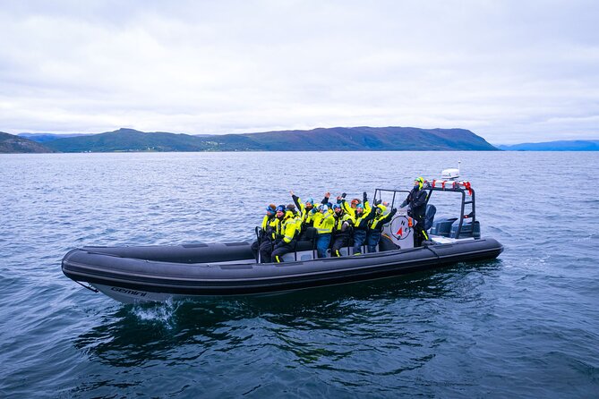 RIB Expedition to Seiland National Park - 3.5h - Seiland National Park by RIB: what makes it so special