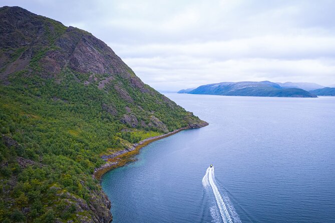 RIB Expedition to Seiland National Park - 3.5h - Who should book, and who might skip