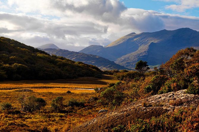Ring of Kerry Day Tour from Cork: Including Killarney National Park - Cork Morning Setup: Meeting Point, Timing, and What to Bring