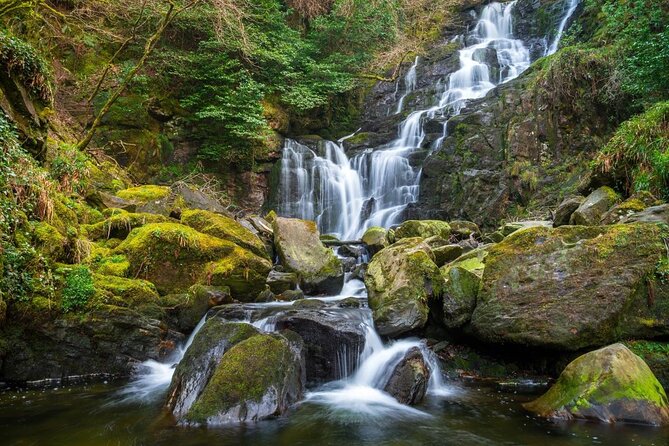 Ring of Kerry Day Tour from Killarney: Including Killarney National Park - Price and Timing: What You’re Paying For