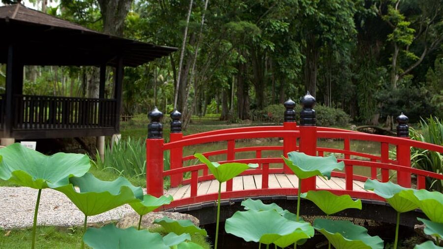Rio de Janeiro: Tijuca National Park & Botanic Garden Tour - When rain or closures mess with the plan