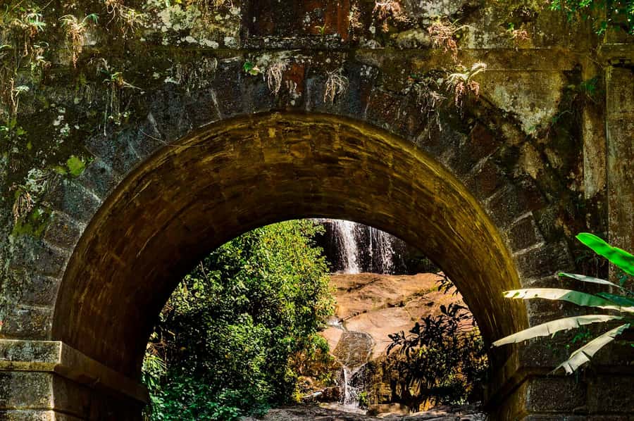 Rio de Janeiro: Tijuca National Park & Botanic Garden Tour - Botanical Gardens: the payoff after the forest gets crowded with your eyes