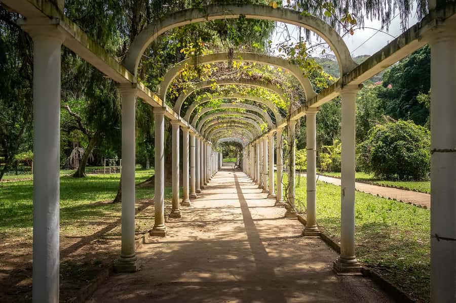 Rio de Janeiro: Tijuca National Park & Botanic Garden Tour - Vista Chinesa and Rio’s famous viewpoints, compressed into 4 hours