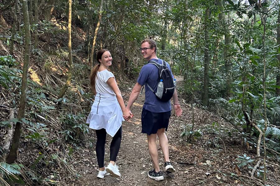 Rio de Janeiro: Tijuca National Park Tour - Should you book the Tijuca National Park Urban Jungle Tour?