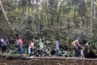 Rio de Janeiro: Tijuca National Park Tour - Viewpoints on the way in: the fast win before the rainforest