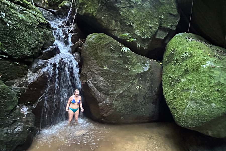 Rio de Janeiro: Tijuca National Park Tour - Wildlife and rainforest life: spotting coatis, butterflies, and more