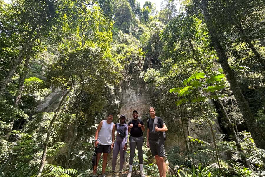 Rio de Janeiro: Tijuca National Park Tour - Transportation and photo/video help: why it’s good value