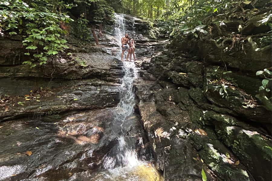 Rio de Janeiro: Tijuca National Park Tour - Who should book this Tijuca Urban Jungle tour