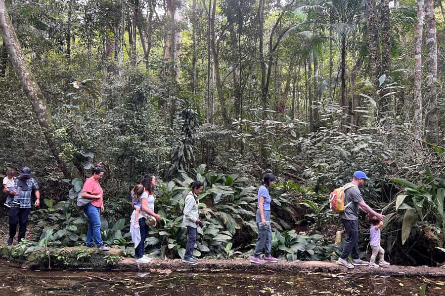 Rio de Janeiro: Tijuca National Park Tour - Viewpoints on the way in: the fast win before the rainforest