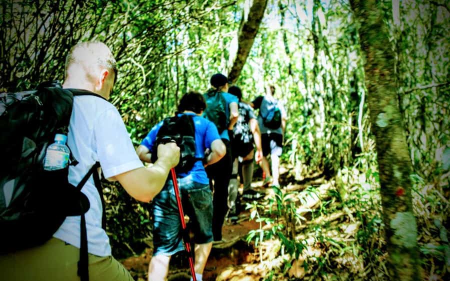 Rio: Tijuca National Park Small-Group Hike to Pedra Bonita - The hike itself: easy by label, real by feel