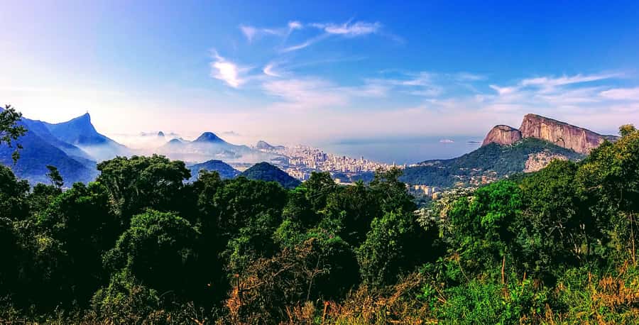 Rio: Tijuca National Park Small-Group Hike to Pedra Bonita - What to pack (and what not to): the quick kit that saves discomfort