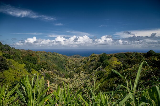 Road to Hana Halfway and Haleakala National Park - Haleakalā observatory at Science City: why “seeing the sky” is a real thing