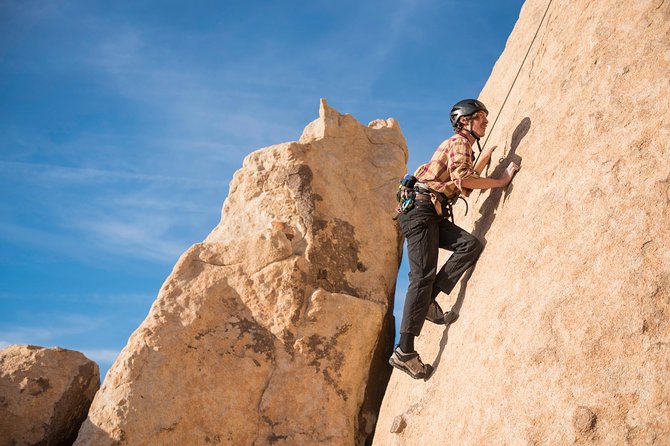 Rock Climbing Trips in Joshua Tree National Park (4 Hours) - Price and Value: Why $255 Can Make Sense for a Private Session