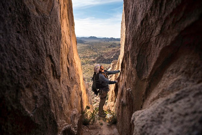 Rock Climbing Trips in Joshua Tree National Park (6 Hours) - What’s included: gear, safety training, and a Wilderness First Responder