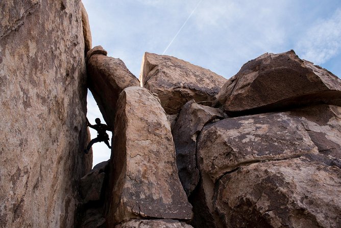 Rock Climbing Trips in Joshua Tree National Park (8 Hours) - What One-on-One Training Actually Means on the Rock