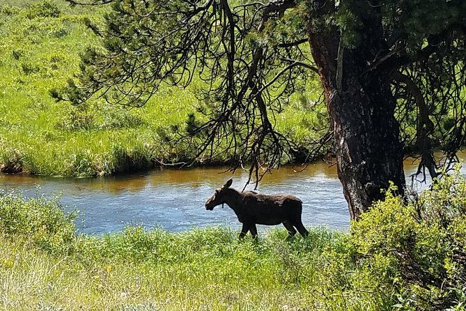 Rocky Mountain National Park and Estes Park Tour from Denver Winter and Spring - Denver Union Station at 8:15: why the start matters in winter