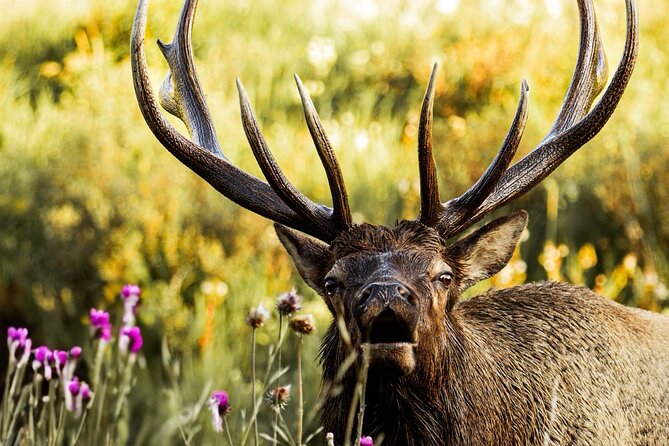 Rocky Mountain National Park- Guided Hiking Tour - Estes Park meeting point, small group vibe, and included hiking gear