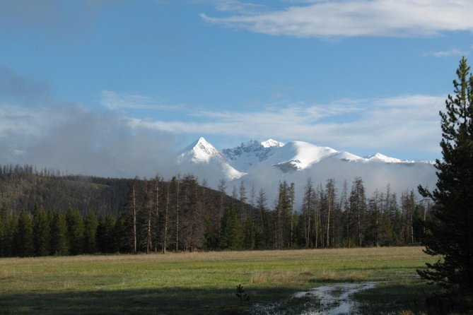 Rocky Mountain National Park Guided Tours from Grand Lake - Key Points to Know Before You Go