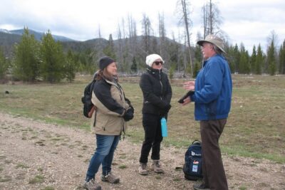 Rocky Mountain National Park Guided Tours from Grand Lake - How the 4-Hour Route Is Set Up (And Why It Feels Less Crowded)