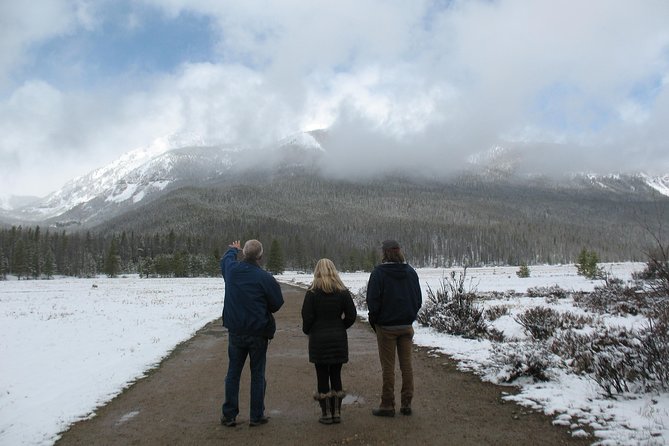 Rocky Mountain National Park Guided Tours from Grand Lake - The Trail Ridge Road Moment: Three Layers of Road, One Big View